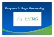 Enzymes in Sugar Processing - NATURE BIOCHEMnaturebiochem.com/downloads/Enzymes_for_Sugar.pdf · Enzymes in Sugar Processing. POLYSACCHARIDES in Sugar 1. DEXTRAN Highly branched Glucose