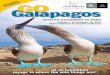 Galapagos GO - audubon.orgexploring Machu Picchu, Cusco, the Sacred Valley of the Inca and Lima. 2. 4 T he sheer amount of wildlife here is astounding. Tortoises — including 
