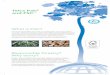 Tetra Pak and FSC · 2018-03-28 · Forest owners: Since the demand for FSC-certiﬁ ed timber already outstrips supply, certiﬁ cation will increase the value of your timber on