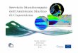 Rosalia Santoleri (CNR-ISAC) 9-10 Giugno, 2015 Roma · Marine service implementation stepswithEC GMES Implementation(2004‐2014) –FP6 MERSEA (2004‐2008) •Set up a common R&D,
