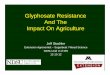 Glyphosate Resistance And The Impact On Agriculture · 2009 2011 near Prinsburg, MN Crystal: 81% growers reported Excellent weed ... Cobra + MSO + AMS 4.5 pt 2 oz 6 oz 0.9 oz 2.7