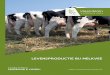 Levensproductie bij melkvee - RUNDVEELOKET · 2018-12-19 · 4.1 Voeding 21 4.1.1 Voeding tijdens het begin van de lactatie 22 4.1.2 Voeding tijdens de middenlactatie 23 4.1.3 Voeding