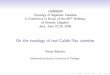 On the topology of real Calabi-Yau varietieshomepages.math.uic.edu/~jaca2009/notes/Batyrev.pdf · Mirror Symmetry In the middle of 80’s physicists working in String Theory became