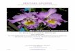 Orchid-2017-18-Catalog-amTitle: Orchid-2017-18-Catalog-am Author: Jonny 2 Created Date: 20171010170149Z
