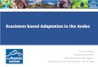 Ecosistem based Adaptation in the Andes...Ecosystem based Adaptation (EbA) is defined as: “the use of biodiversity and ecosystem services as part of an overall adaptation strategy