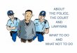 ABOUT THE POLICE, THE COURT AND LAWYERS WHAT TO DO … · 2017-11-15 · Hannah, try to get a lawyer for Dan The Legal Aid lawyers probably won’t be able to help Dan at this stage