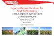 How to Manage Sorghum for Peak Performance 2016 Sorghum ... 2016 Sorghum Symposium Grand Island, NE