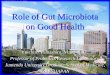 Role of Gut Microbiota on Good Health - APPSPGHAN€¦ · pregnant weight gain . antibiotic exposure . hygine and social condition . bacteria in amniotic fluid . smoking in pregnancy