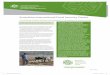 Australian International Food Security Centre · 2012-12-17 · research priorities and build partnerships. Early consultations with Australian stakeholders identified Australia’s