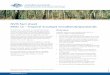 NVIS Fact sheet MVG 12 – Tropical eucalypt woodlands/grasslands · enironment .gov.au SSDL NVIS Fact sheet MVG 12 – Tropical eucalypt woodlands/grasslands Australia’s native