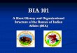 BIA 101 - USDA · 2. Tribal members do not pay federal taxesTribal members do not pay federal taxes 3. BIA provides contract oversight on programs BIA provides contract oversight