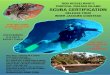 ROB KESSELRING’S TROPICAL ROATAN ISLAND SCUBA … · all diving equipment all dives inc. 4 open water dives top english speaking instructor great boat, captain, divemaster plus: