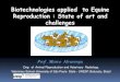 Biotechnologies applied to Equine Reproduction : State of art and …§os_Biotecnologia_Congresso_FEI... · 2014-11-10 · Cooled and shiped semen USA – 150.000 EUROPE- 100.000