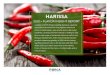 HARISSA - FONA International · 2020-05-28 · HARISSA North America New Product Introductions: 2014-2019 NORTH AMERICA FAST FACTS: • NORTH AMERICA accounts for 18% of all harissa