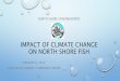 NORTH SHORE STREAMKEEPERS - nssk.ca · Fisheries Act (Canada) can authorize that impact. The Riparian Areas Regulation currently requires local government use their tools to protect