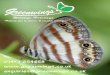 Helping you to observe & conserve wildlifegreenwings.co/wp-content/uploads/2017/08/Greenwings-Birdfair-leafl… · 17 – 31 Jan South Africa Flora of The Drakensberg £3,795 5 –