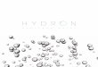 The hydrogen revolution - Puricompuricom.eu/wp-content/uploads/2017/08/CTLG_HYDRON_ION_EN.pdf · Great direct production. There is a proliferation of new equipment in the market,
