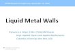Liquid Metal Walls - Columbia University€¦ · propels liquid metal Slots for Fe laminations. Free-surface flow in tiltable “tile” exposed to B Slot for electrodes Pivot. Inclination