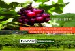 Center for Viticulture and Small Fruit Research FAMU Viticulture Annual Repor… · STUDENT TRAINING Student training is an integral component of the Center’s programs. Students