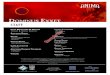 Dominus Exxet ENG - DriveThruRPG.com · 2018-04-28 · print id: 973apr11 product code: anr04 isbn 13: 978-1-58994-759-7 printed in china lead developer & writer carlos b. garcÍa