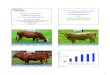 2; Energy and protein supplementation copy...1 Energy and Protein Supplementation for Cow-Calf Operations Jason Banta, Ph.D., PAS Associate Professor and Extension Beef Cattle Specialist