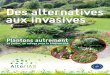 Des alternatives aux invasives - AlterIAS - Welcome …...Les plantes invasives peuvent occasionner d’autres dommages qu’il n’est pas possible de développer dans cette brochure