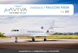 DASSAULT FALCON 900B - Aircraft Dealer DASSAULT FALCON 900B SN 80 | sales@jetAVIVA.com | +1.512.410.0295