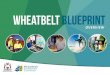 Wheatbelt Blueprint · Say Hello to the Wheatbelt. 1 2 overview What is the Blueprint? ... Amenity, Marketing Wheatbelt Opportunities and Effective Partnerships. ... 2050 Target: