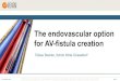The endovascular option for AV-fistula creation · Procedure success: Successful endoAVF creation confirmed via intraprocedural fistulography or by duplex ultrasound performed post-