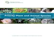 A guIde tO Priority Plant and Animal Specieslearnforests.org/sites/default/files/Guide_priority... · 2016-08-31 · 3 A Guide to Priority Plant and Animal Species in Oregon Forests