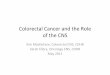 05 Colorectal Cancer and the Role of the CNS · Colorectal Nurse Support and problem management 1 week post discharge General Practitioner and Practice Nurse •Support •Issues