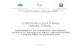 CROSS-CUTTING ANALYSIS · CROSS-CUTTING ANALYSIS: ASSESMENT OF GENERAL NATIONAL CAPACITY NEEDS TO MEET OBLIGATIONS UNDER RIO CONVENTIONS Astana, 2005 . The Project "National Capacity