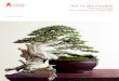American Bonsai: The Unbridled Art of Ryan Neil ... 2 ART IN THE GARDEN 216 3 material must be American