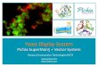 Yeast Display System - Pichia · pJGZs1-SAG1 (GAP promoter, AvrII, zeocin) 2micrograms : Also can ship ready-made competent cells *Both strains will express your target protein with
