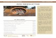 AVEI NEWSLETTER - Auroville Earth Institute · 2012-01-19 · From July to December 2011, Blandine, a French mechanical engineer student worked on defining a new method for the stability
