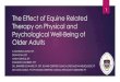 The Effect of Equine Related Therapy on Physical and ... · Effect of equine-assisted therapy on the postural balance of the elderly 2 (prospective controlled trial) Homnick TD, Henning