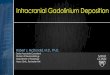 Intracranial Gadolinium Deposition · 2019-01-22 · Intracranial Gadolinium Deposition Robert J. McDonald, M.D., Ph.D. Senior Associate Consultant Division of Neuroradiology Department