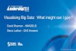 PBLS 2014 - Visualising Big Data: What Insight Can I Gain? · 2016-03-11 · Title: PBLS 2014 - Visualising Big Data: What Insight Can I Gain? Author: Stephen Ludlow Created Date: