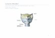 Larynx Model · 3 Abstract The goal of the project is to continue the development of a three-dimensional larynx model with moving cartilage and muscles. This device is intended to