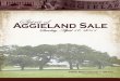 Spirit of Aggieland Sale Page 3 - DP Sales Management€¦ · CE BW WW YW MCE MILK MWW CW YG MARB REA API TI 10.1 0.7 33.6 58.4 7.3 0.2 17 -0.7 0.0 0.3 0.1 109 66 1 Lot PB Simmental