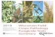 2019 Wisconsin Field Summary - Badger Crop Doc · Wisconsin Field Crops Pathology . Fungicide Tests Summary. Acknowledgements. This report is a concise summary of pesticide related