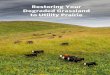 Restoring Your Degraded Grassland to Utility Prairie · 2 Refer to the restoration guide “Restoring your Crop Field to Utility Wet Meadow” for more information on hydrology restoration