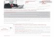 FLYER Cloud Consumption Monitoring - SoftwareONE · 2017-05-22 · The complex technical environment of cloud services makes it hard to keep track of all needed information but requires