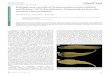 Multiple new records of Gymnoscyphus ascitus Böhlkepeople.tamu.edu/~kevin.conway/kevin.conway/kevin.conway... · 2018-12-07 · Bulletin of Marine Science 34: 244-247. McEachran,