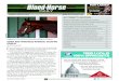 Wire-to-Wire DAILY This Summer! - The Blood-Horsei.bloodhorse.com/daily-app/pdfs/BloodHorseDaily-20160523.pdf2016/05/23  · BLOOD-HORSE DAILY PAGE 1 OF 19 MONDAY, MAY 23, 2016 DAILY