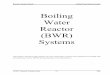 Boiling Water Reactor (BWR) Systems · lost. The RCIC system consists of a turbine-driven pump, piping, and valves necessary to deliver water to the reactor vessel at operating conditions