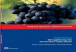 World Bank Document...2012/12/12  · Bapaev, Kuvat. 2012. Agriculture competitiveness strategy: lessons from horticulture: results of gross margin analysis and investment models for