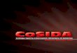 CoSIDA - Amazon S3...2009/09/03  · CoSIDA digest – 4 WHAT’S NEW? With CoSIDA With the resignation of CoSIDA’s on-line director Jamie Joss, the Board of Directors combined that