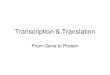 Transcription & Translation - Mr. Curtis' Biology Site · 2020-03-10 · Transcription & Translation From Gene to Protein. Part 1 A little history lesson • In 1909, British physician