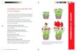 BLOOMING GIFT SUBSCRIPTION for Four Holidays 4 HOLIDAYS · this December basket, you will also get flowers for Valentine’s Day, Easter, and Mother’s Day. Each bulb garden will